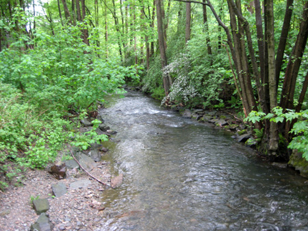 das bächlein rauscht
