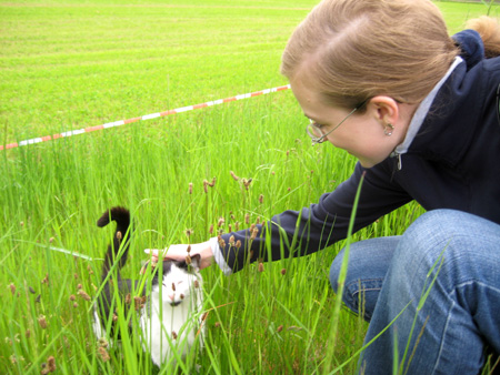 chrissy trifft ein freundliches kätzchen