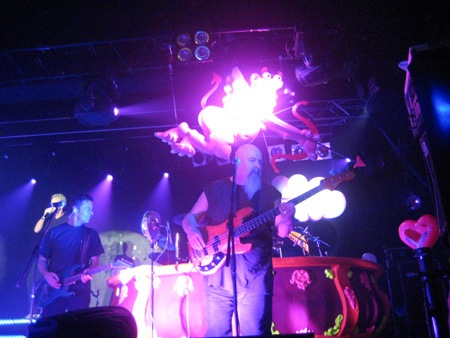 im zeichen des leuchtenden schweins