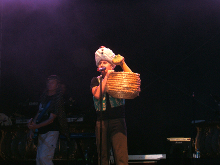 der giftigste wollstrumpf..