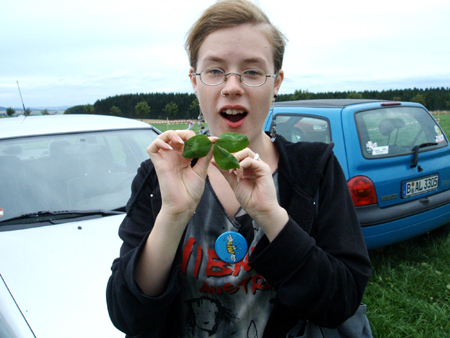 riesige kleebl�tter!