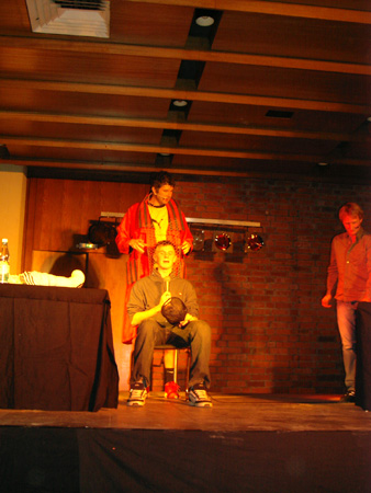 das dresdner k�fighuhn