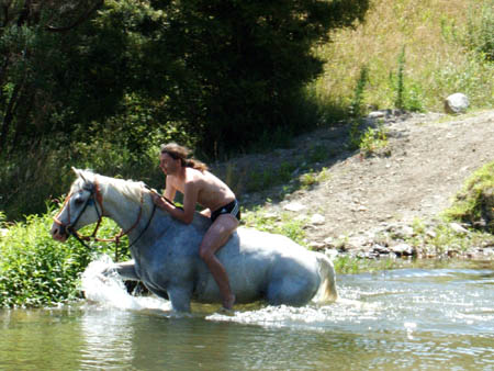 Springhuhn auf hohem Ro�