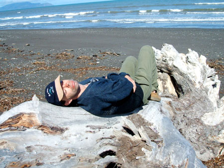 Springhuhn auf Treibholz