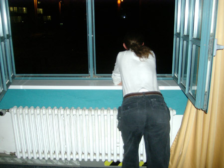 springhuhn schaut aus fenster raus