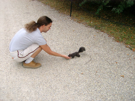 springhuhn und eichhörnchen